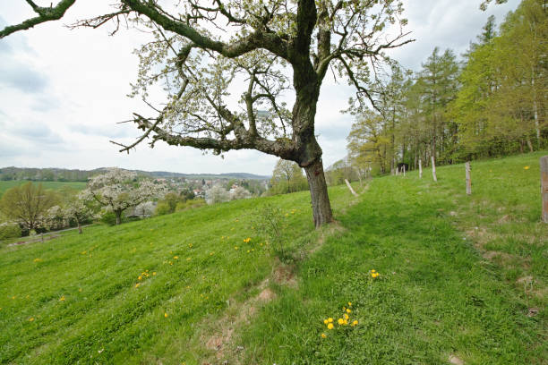 istock view to Neusalza Spremberg 951644450