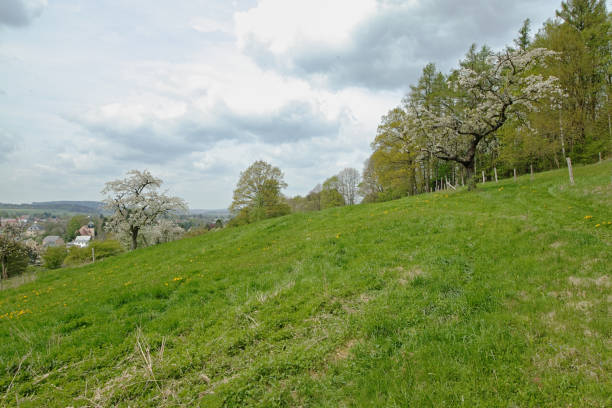 istock view to Neusalza Spremberg 951645024