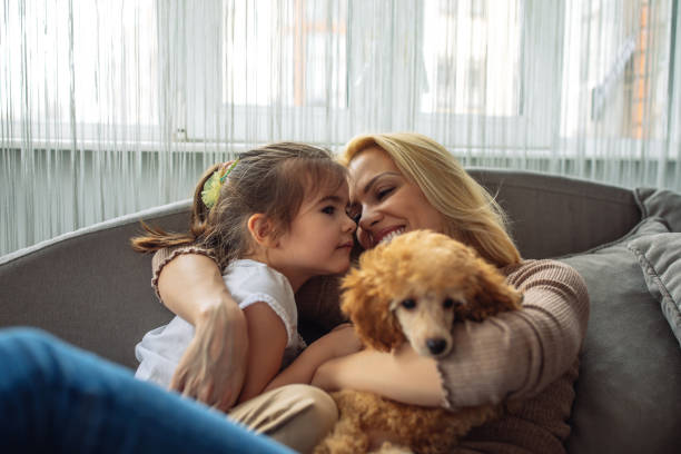 istock New addition to the family 951645292