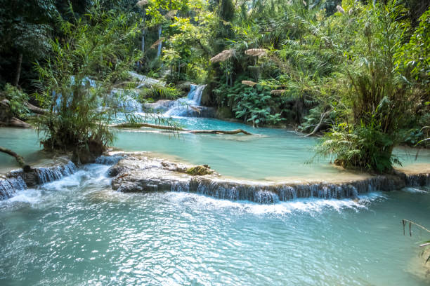 istock Tat Kuang Si Waterfalls, Luang Prabang, Laos 951645446