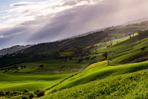 istock Rimini 130418 NikonD3300 951646010