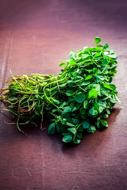 Close up of fersh raw methi plant or Fenugreek plant on a brown wooden surface. stock photo