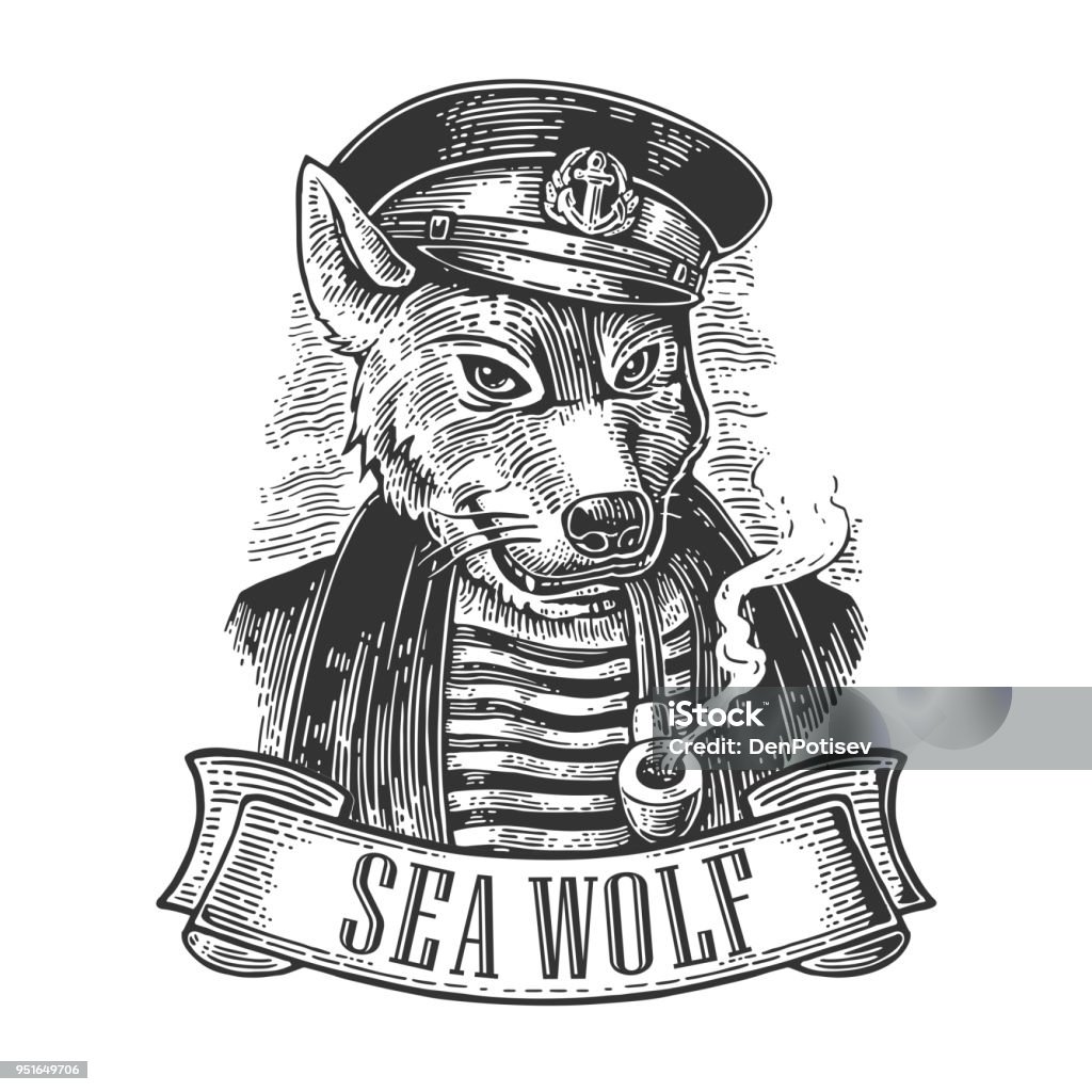 Sea wolf with pipe and ribbon. Sea wolf with pipe and ribbon. Vector engraving vintage illustrations. Isolated on white background. For tattoo, poster, web and label Boat Captain stock vector