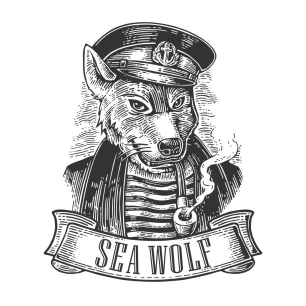 Sea wolf with pipe and ribbon. Sea wolf with pipe and ribbon. Vector engraving vintage illustrations. Isolated on white background. For tattoo, poster, web and label dog with ribbon stock illustrations