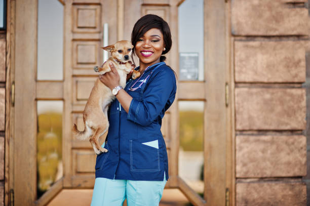 doctor americano africano mujer - doctor dog portrait animal hospital fotografías e imágenes de stock