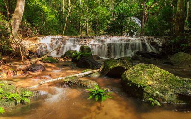 istock Mae Kampong Waterfall in green forest. 951654314