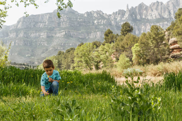 Little kid picking flowers in front of a great mountain.