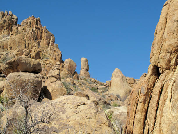 istock Grapevine Hills rock formations, Big Bend National Park, USA 951654766
