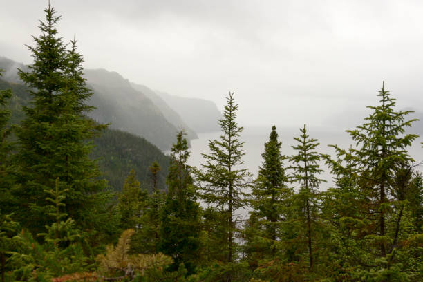 istock Saguenay River fjords view with trees 951657968