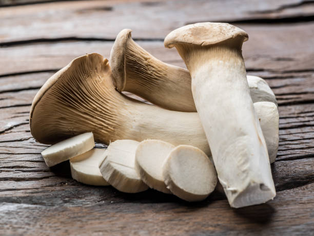 istock King oyster mushrooms. 951659338