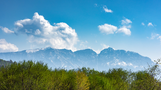 View of a mountain river, a forest and snowy mountains