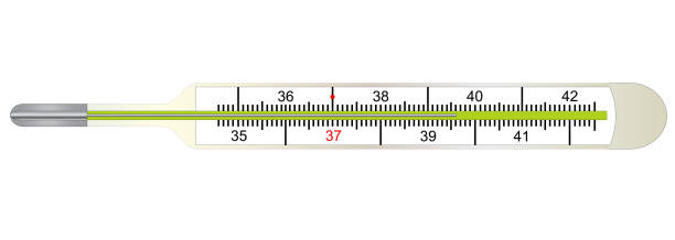 150+ Analogue Thermometer Stock Illustrations, Royalty-Free Vector Graphics  & Clip Art - iStock