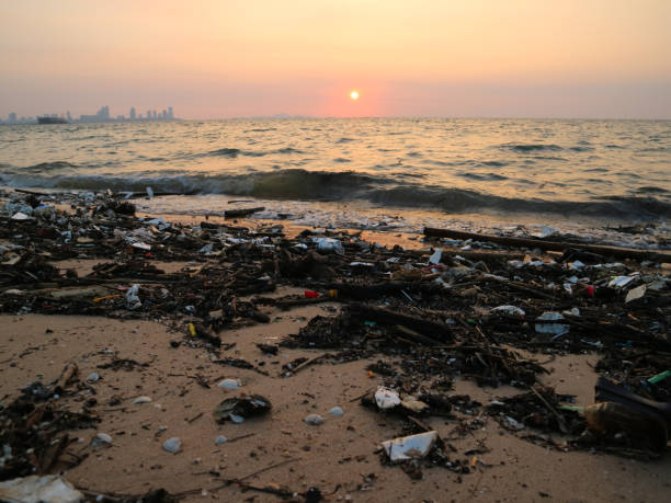 istock plastic bamboo foam and waste pollution on beach sunset background 951666322