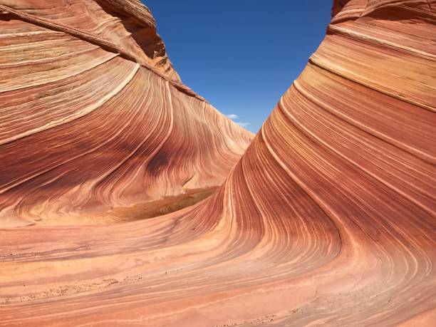 istock The Wave at Coyote Buttes In Arizona 951667626