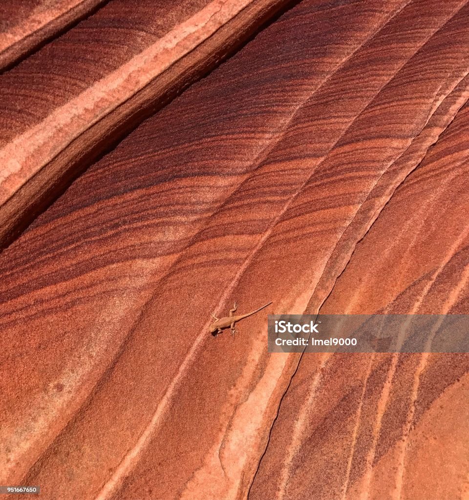 The Wave at Coyote Buttes In Arizona Adventure Stock Photo