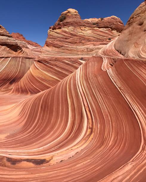 istock The Wave at Coyote Buttes In Arizona 951667662