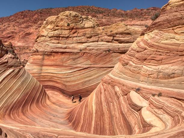 istock The Wave at Coyote Buttes In Arizona 951667674
