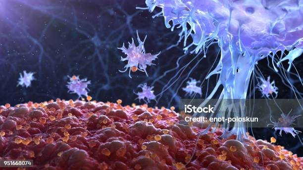 Immune System Stock Photo - Download Image Now - T-Cell, Cancer - Illness, Immune System