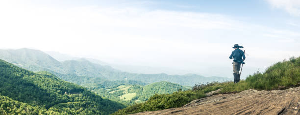 roans lumineux : debout - appalachian trail dirt road footpath appalachian mountains photos et images de collection