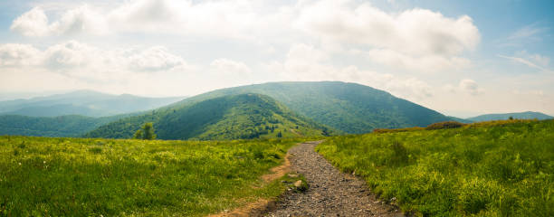 roan highlands : ciel clair - southern rocky mountains photos et images de collection