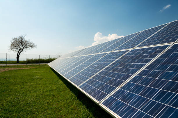 istock Solar panels, photovoltaic - alternative electricity source 951674812
