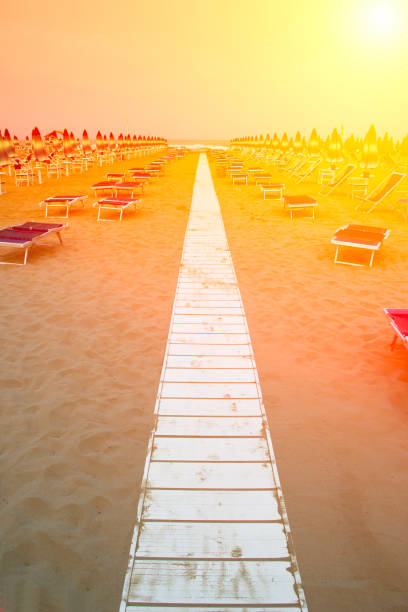 istock Beach with umbrellas and sunbeds 951675114