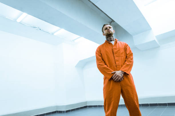 istock bottom view of tattooed criminal standing in prison cell 951677710