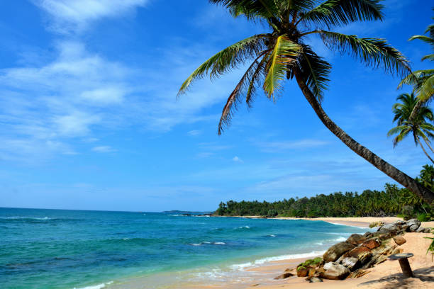 istock Sri Lanka Tangalle 951679942