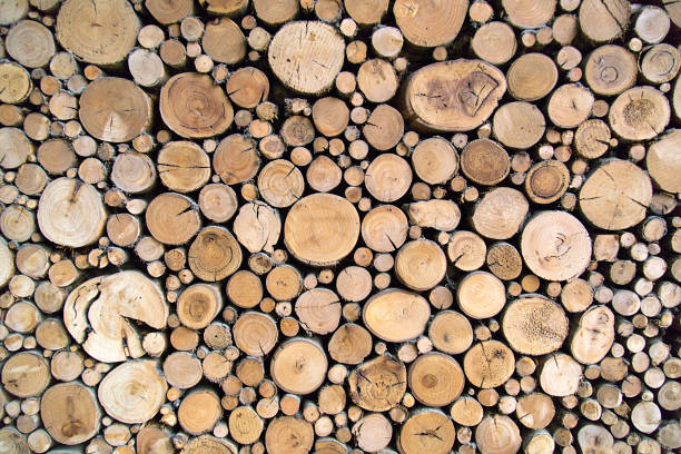 Sawn Timber Logs Sawn timber logs stacked for a wood burning stove. Close up in full frame and a horizontal format woodpile stock pictures, royalty-free photos & images