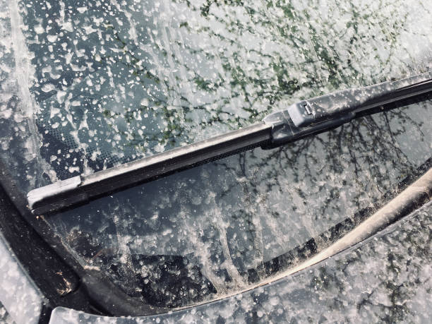 istock sand rained on this car's wndscreen 951682586
