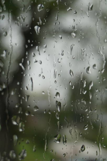 istock looking out window at rainy day 951683578