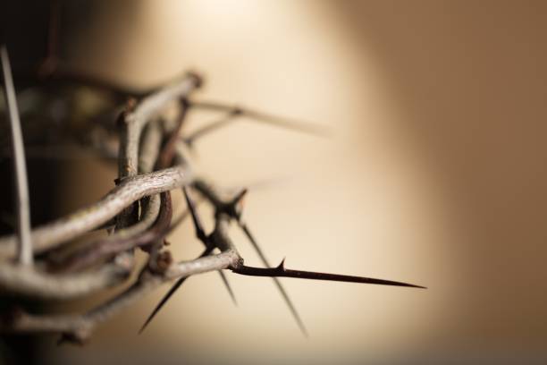 istock Crown of thorns. 951685216