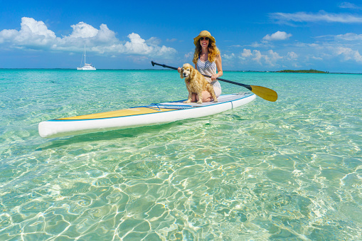 istock Chica en Paddleboard SUP con perro lindo 951686896