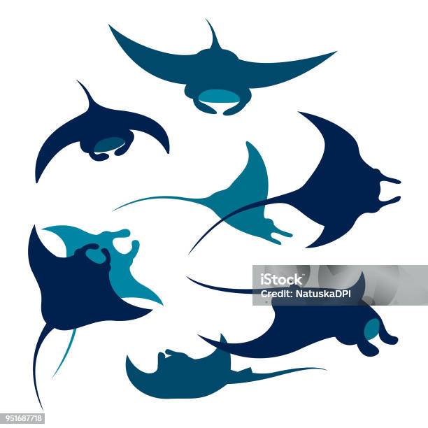 Set Of Mantas Silhouette Stock Illustration - Download Image Now - Manta Ray, Stingray, Animal