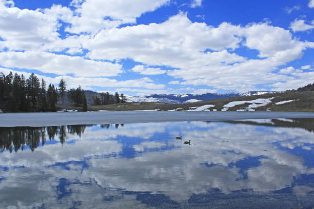 Trout Lake, Yellowstone National Park