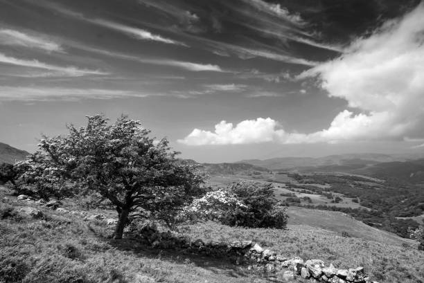 Black and white landscape view from Cadair Idris looking North towards Dolgellau over fields and countryside