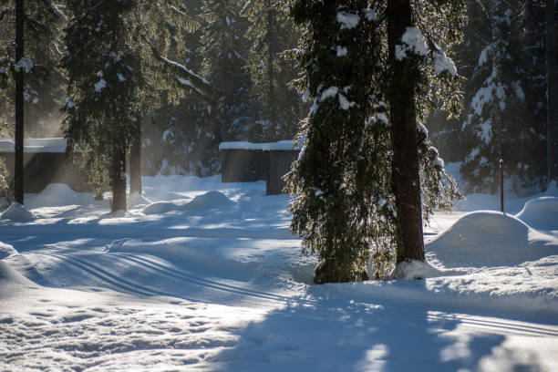 capanna nella neve nella foresta vicino alla pista da sci di fondo - lake tegernsee foto e immagini stock