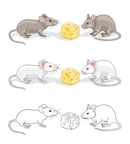 Vector illustration of Two mice with a piece of cheese