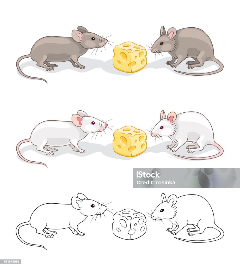 Hai Con Chuột Với Một Miếng Phô Mai Hình minh họa Sẵn có - Tải ...