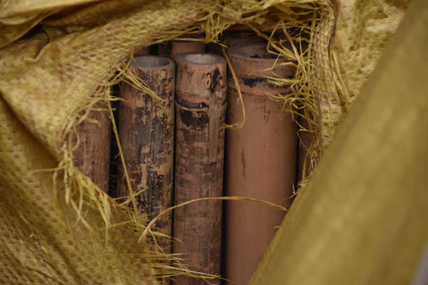 istock Bamboo cane for sale 951698216