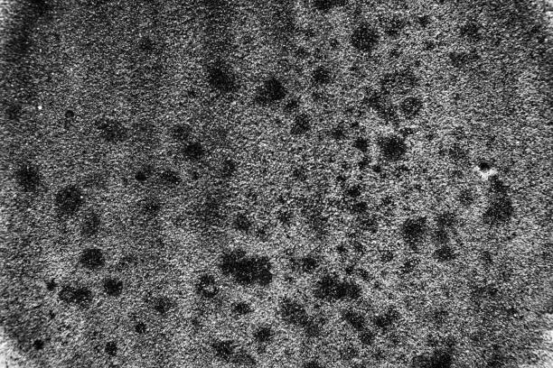 istock Old grungy cement texture, monochrome concrete wall background for web site or mobile devices 951698672