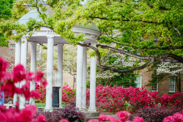The Old Well at the University of North Carolina at Chapel Hill in the Spring The Old Well at the University of North Carolina at Chapel Hill in the Spring chapel hill photos stock pictures, royalty-free photos & images