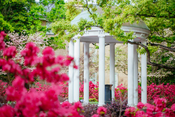 The Old Well at the University of North Carolina at Chapel Hill in the Spring The Old Well at the University of North Carolina at Chapel Hill in the Spring university of north carolina photos stock pictures, royalty-free photos & images