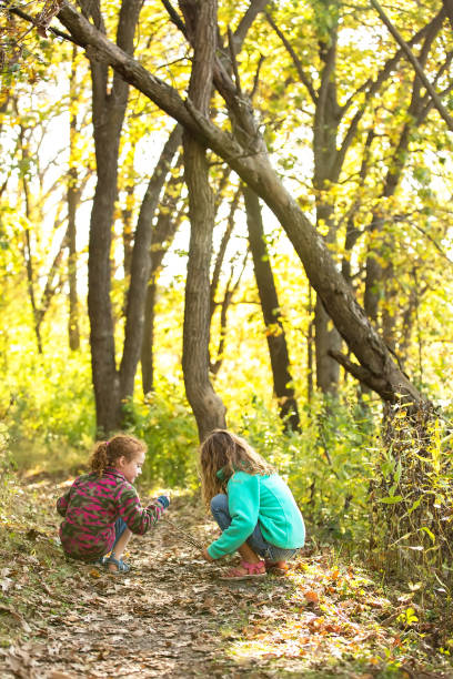istock Two Young Girls Picking up Acorns From Path Through Woods 951703086