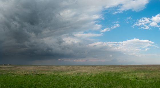 field with green grass under a bright blue sky with large dark storm clouds in a wide format