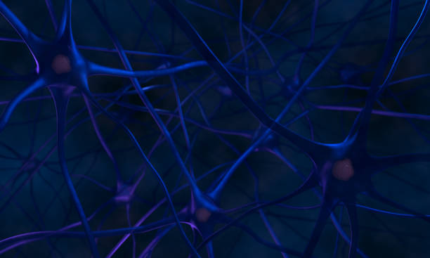 istock Neurons in the brain. Neurons abstract blue background 951708282