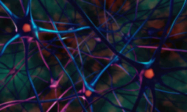 istock Neurons in the brain. Neurons abstract blurred background 951708378