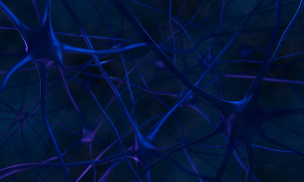 istock Neurons in the brain. Neurons abstract blue background 951708406
