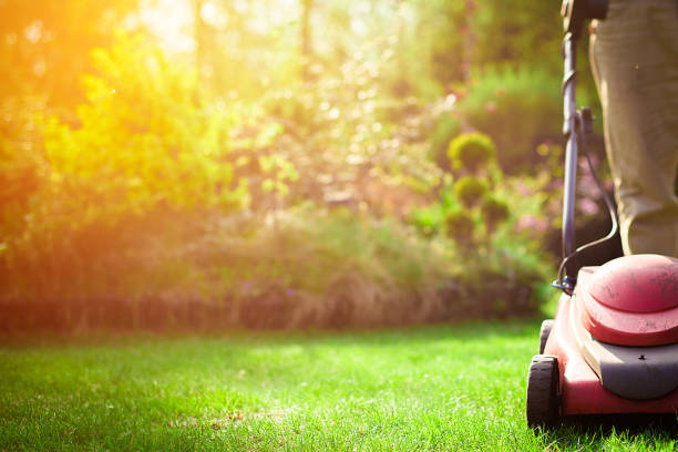 Mowing the grass. The gardener mows the grass with a red electric mower. Work in the garden, spring cleaning. Care for the garden and grass. mann stock pictures, royalty-free photos & images