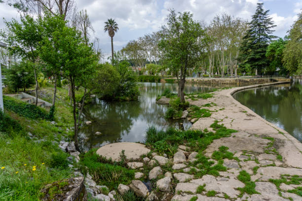 istock River Nabao floating through Tomar, Portugal. garden 951712822